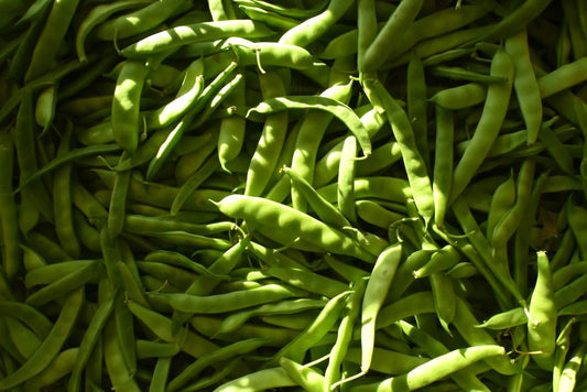 Why Vegetables Lose Their Snap: The Physics of Freshness After Harvest