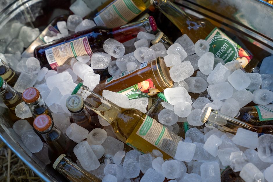 Wine Cooler Care on a Budget: Keep Your Collection Cold Without Overspending