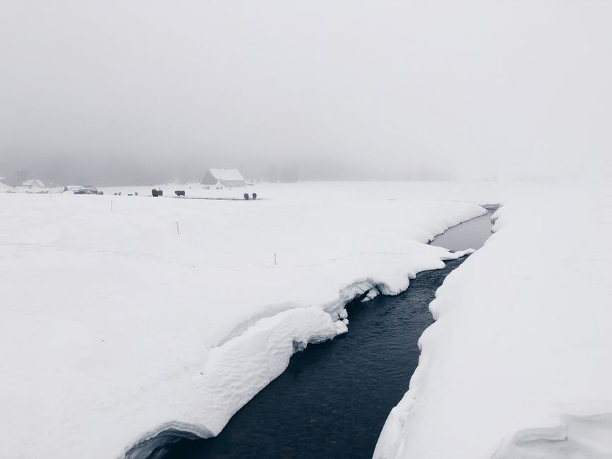 Ice Maker Troubleshooting for Beginners: How to Fix Slow, Small, Cloudy, or Stale Ice