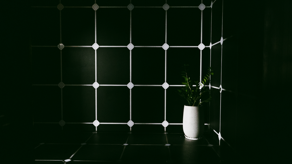 Why Disinfecting Grout Rarely Fixes a Grout Problem