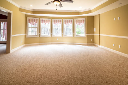 How Often Should You Clean Your Carpets? The Real Answer Depends on These 6 Factors