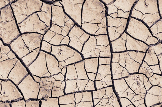 Dry Mouth: When It's Just Dryness and When It's a Signal to Check
