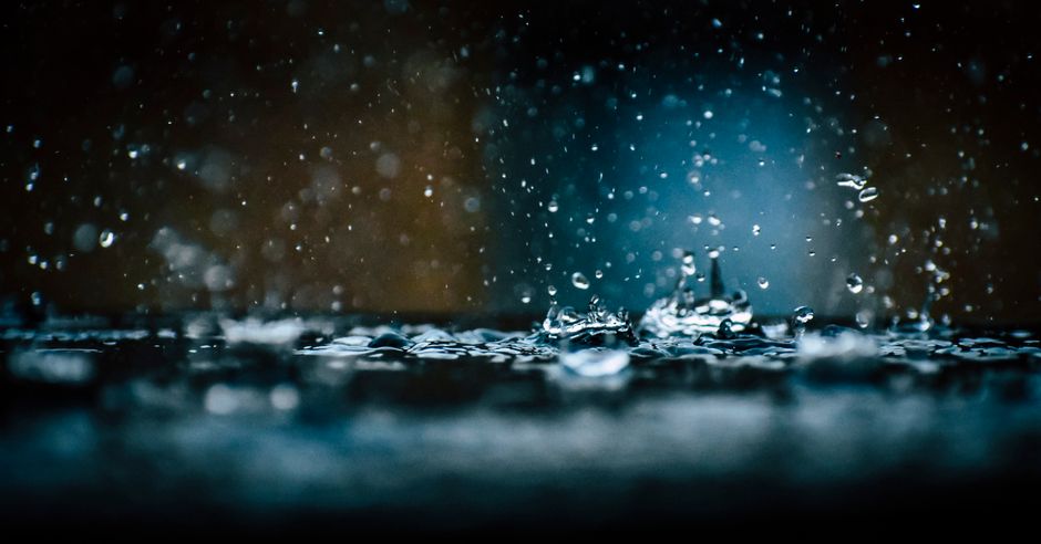 Rainwater Harvesting Pros and Cons: Is a Rain Barrel Right for Your Home?