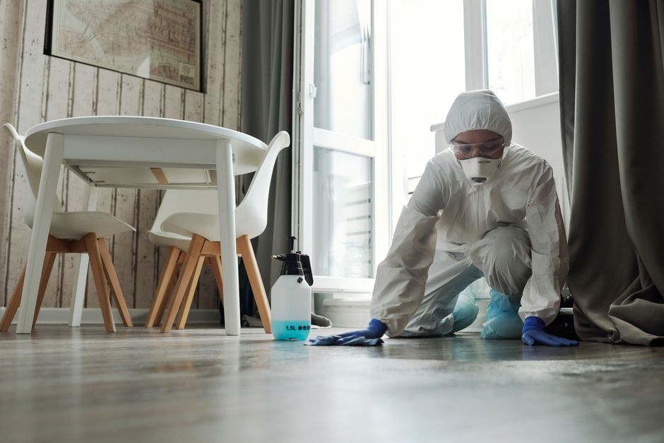 The No-Harsh-Chemicals Floor Care System That Actually Works