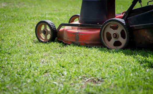 Sharp Blades, Clean Cut: Simple Ways to Get More From Your Lawn Mower
