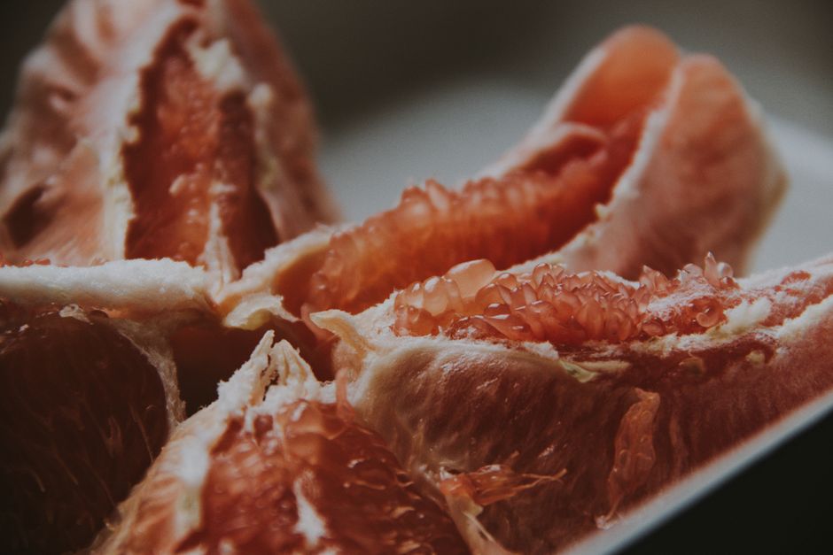 The Beginner's Guide to Understanding Your Gut Health and Digestion