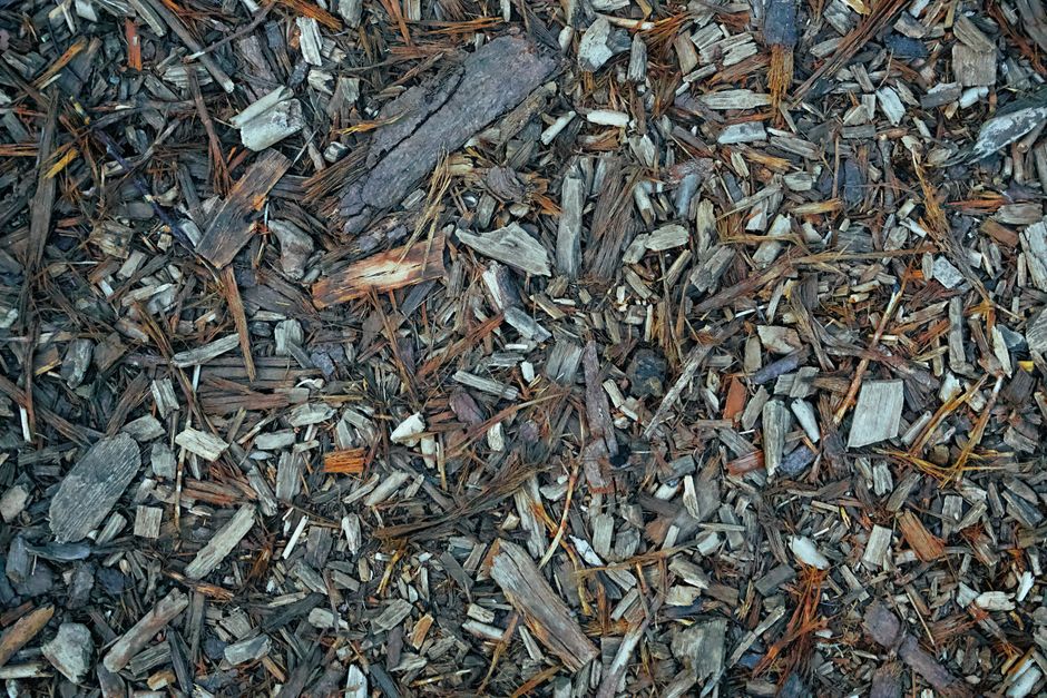 Why Your Mulch Is Failing: A Troubleshooting Guide for Gardeners