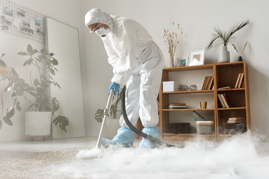 Safe and Effective Carpet Cleaning: The Complete Guide to Protecting Your Floors