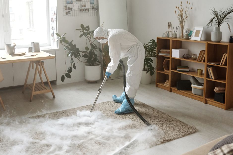 How to Safely and Effectively Clean Carpet and Upholstery Without Harsh Chemicals