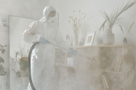 Pest Control for Apartments: A Practical Indoor IPM Guide