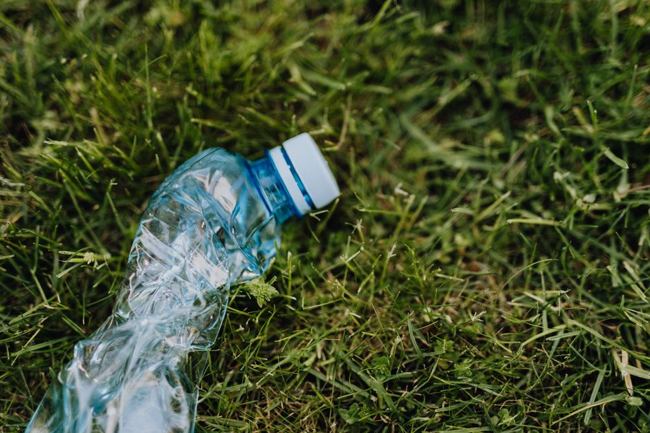 Reusable vs. Disposable: How to Choose Without Falling for Greenwashing