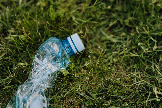 Reusable vs. Disposable: How to Choose Without Falling for Greenwashing