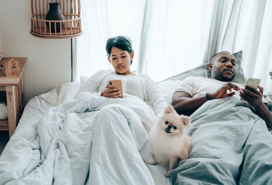 Bedding and the Mobile Pet: How Changing Movement Changes the Bed