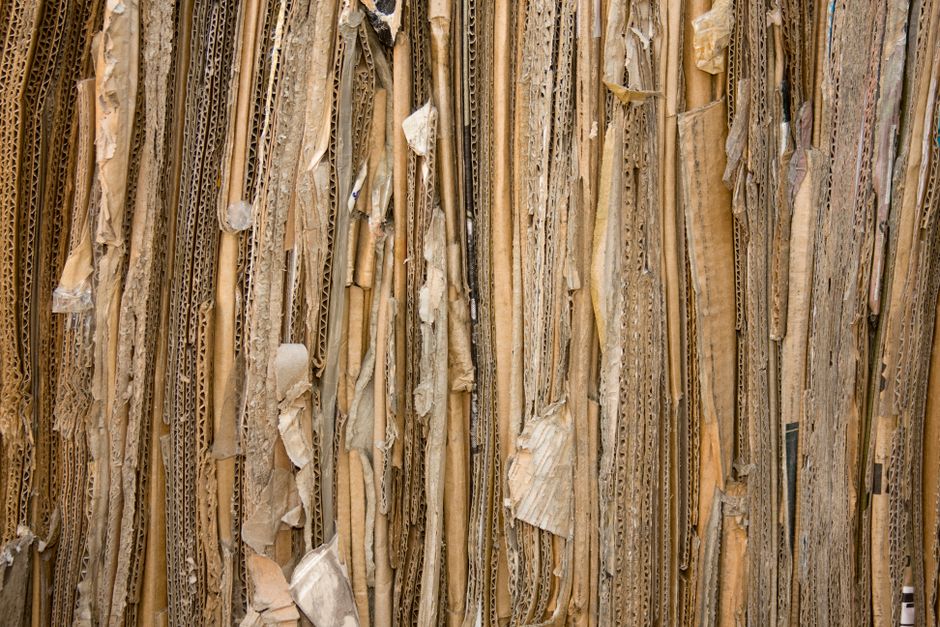 Is Your Recycling Actually Recycled? What Travel-Size Packaging Reveals About the Gap