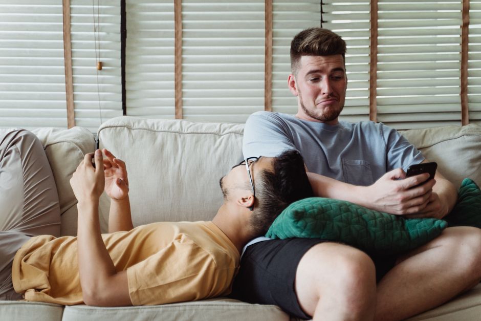 Puppy Social Development: Why Boredom and Missed Experience Are Not the Same Problem