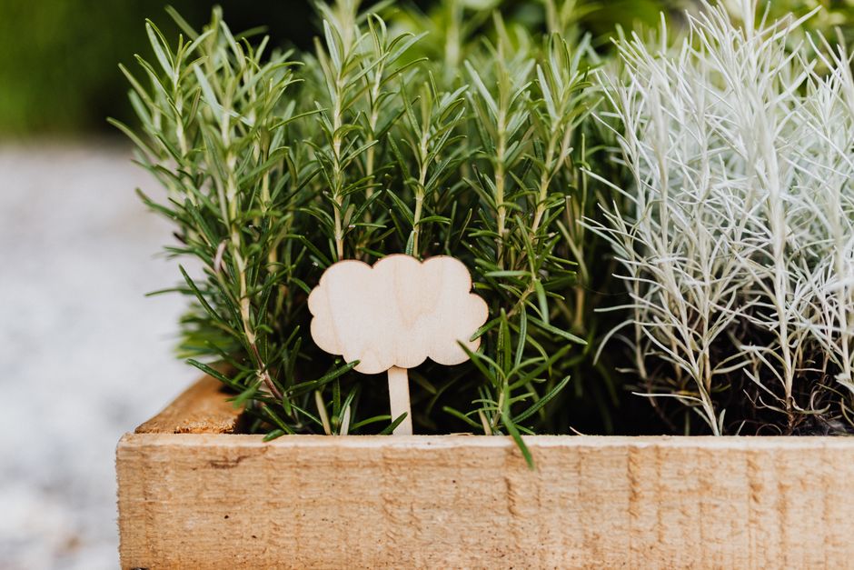 Window Box Gardening Troubleshooting: Why Herbs, Flowers, and Greens Struggle and How to Fix It