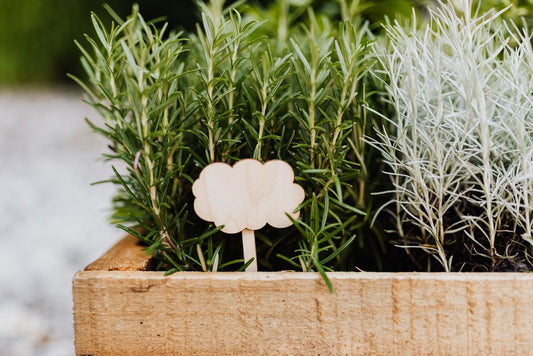 Window Box Gardening Troubleshooting: Why Herbs, Flowers, and Greens Struggle and How to Fix It