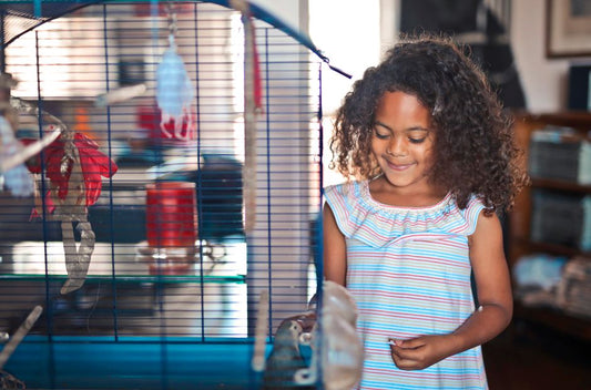 Beyond the Birdcage: Building a Healthier, More Engaging Routine for Your Pet Bird