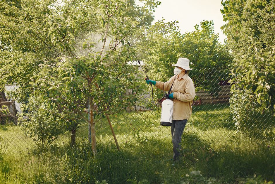 The Long-Term Benefits of Natural Pest Control: Why Prevention Outlasts Any Spray