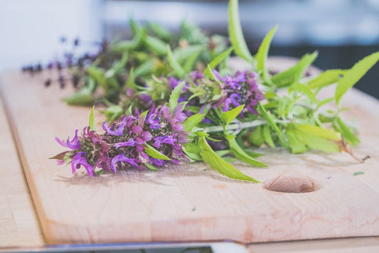 From Cuttings to Bloom: A Beginner’s Guide to Growing Herbs and Flowers from Seed and Cuttings