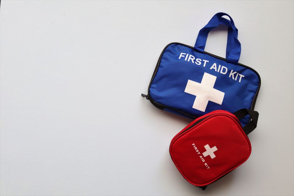 Dog Emergency Preparedness: A Complete Guide to First Aid and Crisis Training