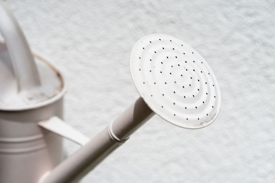 The Essential Tool System for Perfect Plant Watering: Beyond the Watering Can