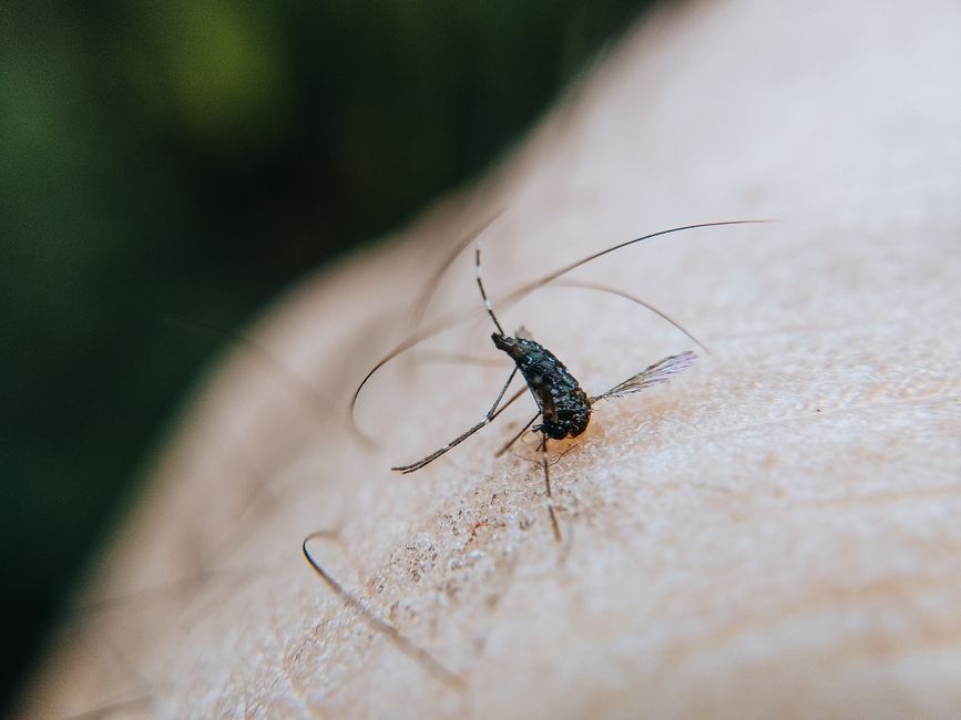Morning Stinging, Night Tightness: How Circadian Skin Rhythms Shape Irritation Tolerance