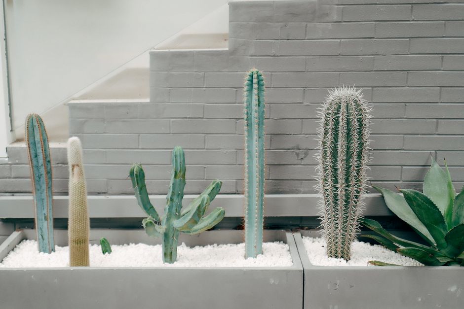 How to Create a Low-Maintenance Window Box That Actually Thrives