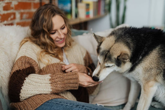 Understanding and Supporting an Anxious Pet at Home