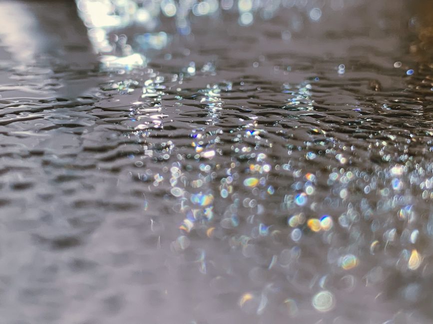 What Homeowners Can Actually Fix in a Wet Basement and What Needs a Professional