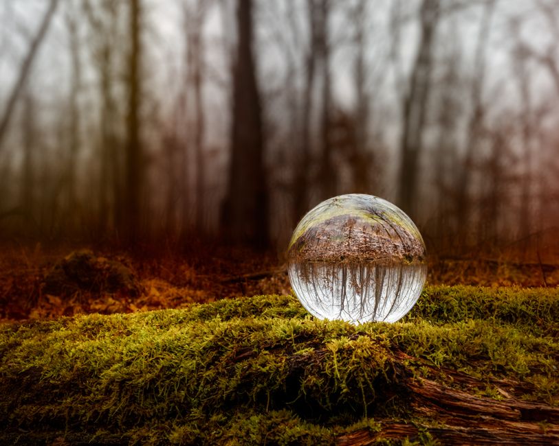 When Wood Moves: What Seasonal Expansion and Contraction Actually Mean for Your Home