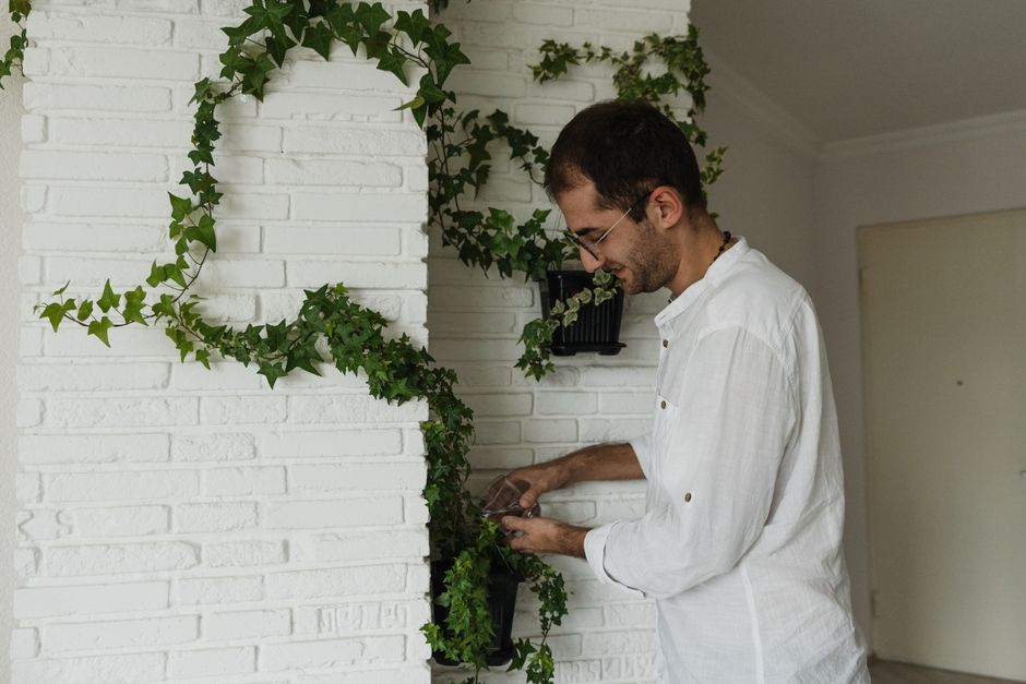 Vertical Gardening for Busy People: Solving the Growth Puzzle Before Adding More Plants