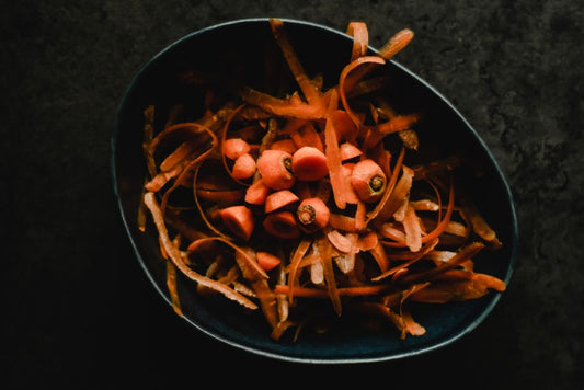 Worm Composting: What Actually Happens to Your Food Scraps, Start to Finish