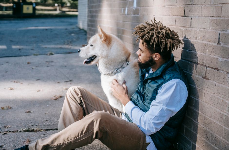 8 Common Mistakes Pet Owners Make with Anxious Pets (And How to Fix Them)