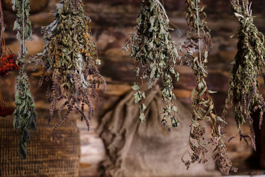 How to Store Fresh Herbs So They Last Weeks Longer (No Wilting)