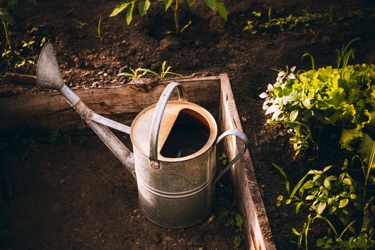 The Right Tools for Diagnosing and Fixing a Struggling Garden Bed
