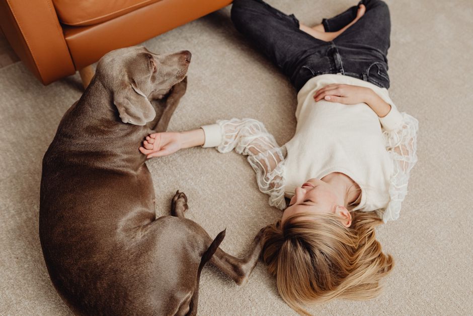 How to Naturally Remove Pet Stains and Odors from Carpets: A Complete Step-by-Step Guide
