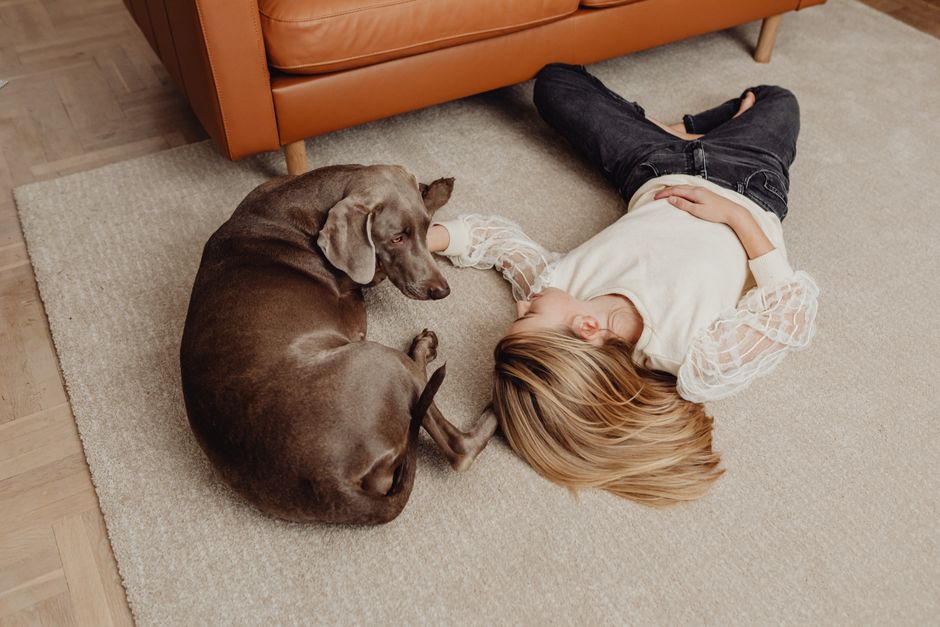 How to Safely Remove Pet Stains Without Damaging Your Home Fabrics and Surfaces