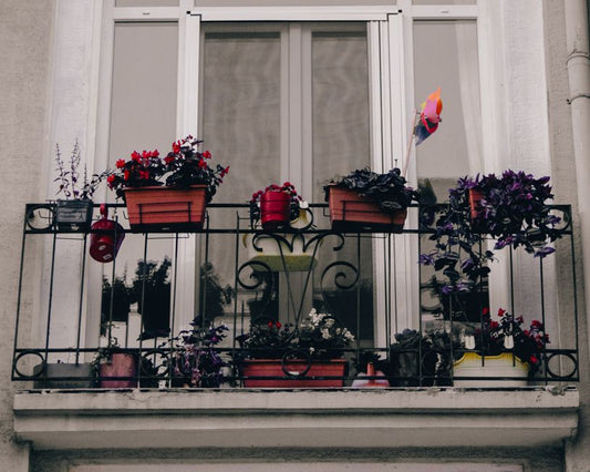 Fertilizing Plants in Small Spaces: A Complete Guide to Balcony and Container Feeding