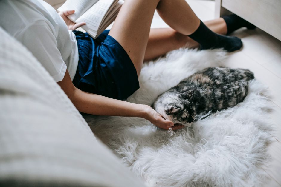 Managing Pet Allergies at Home: A First-Time Owner's Complete Guide