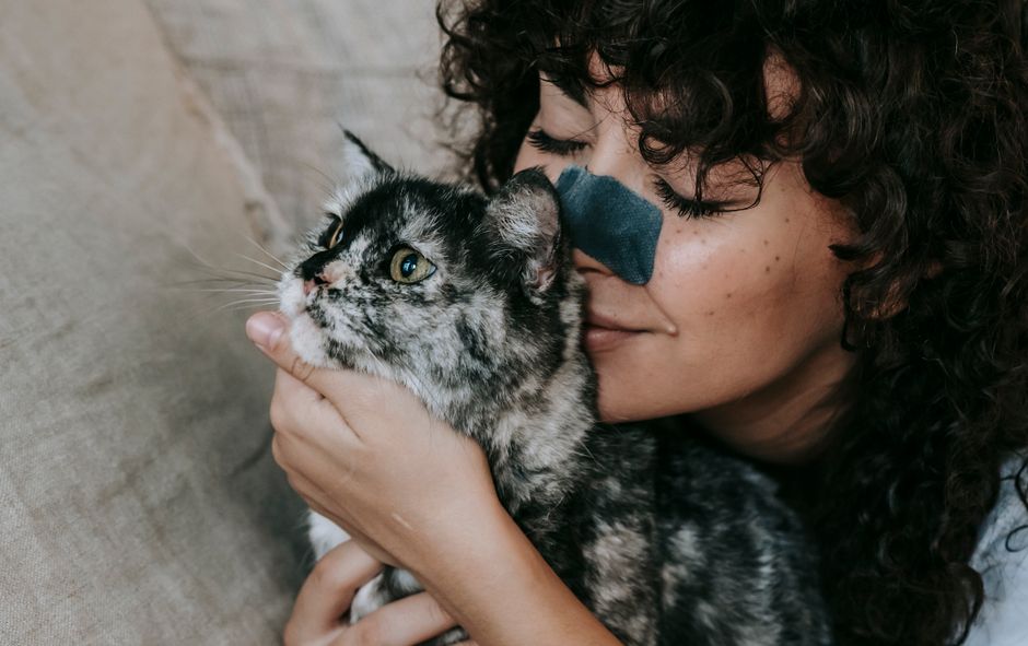 Vet-Approved Tips for Managing Pet Allergies Without Overwhelming Your Routine