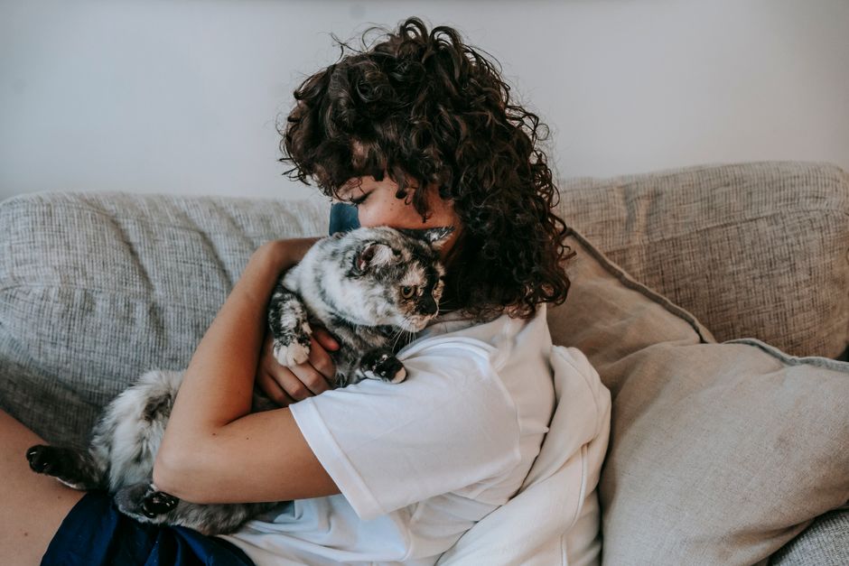 First-Time Pet Owners: Building an Allergy-Aware Home Care Routine