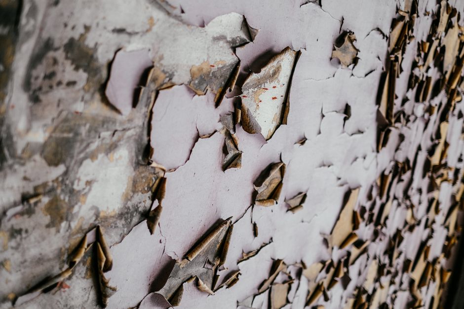 Why Your Wallpaper Peels and How to Prevent It for Good