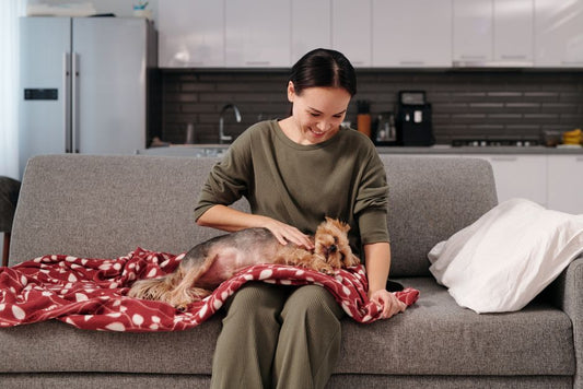 How to Keep a Happy Pet in a Small Apartment: Space-Smart Care Tips
