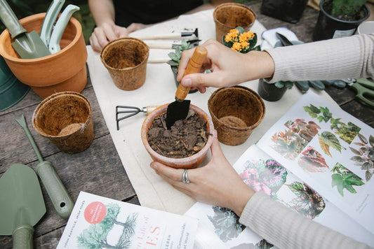 The Complete Succulent Care Guide: Watering, Soil, Light, and Troubleshooting