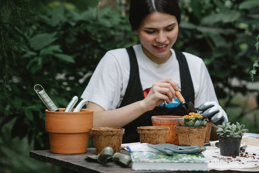Why Your Plants Are Still Struggling: Fertilizing Solutions That Actually Work