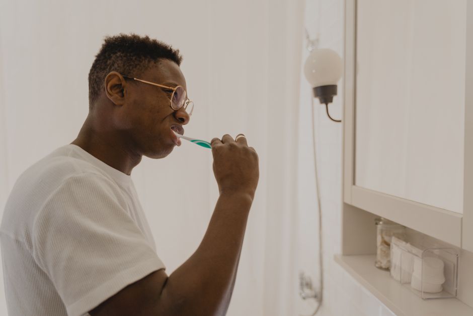 Tooth Brushing Across Species: Why Mouth Anatomy Changes the Routine