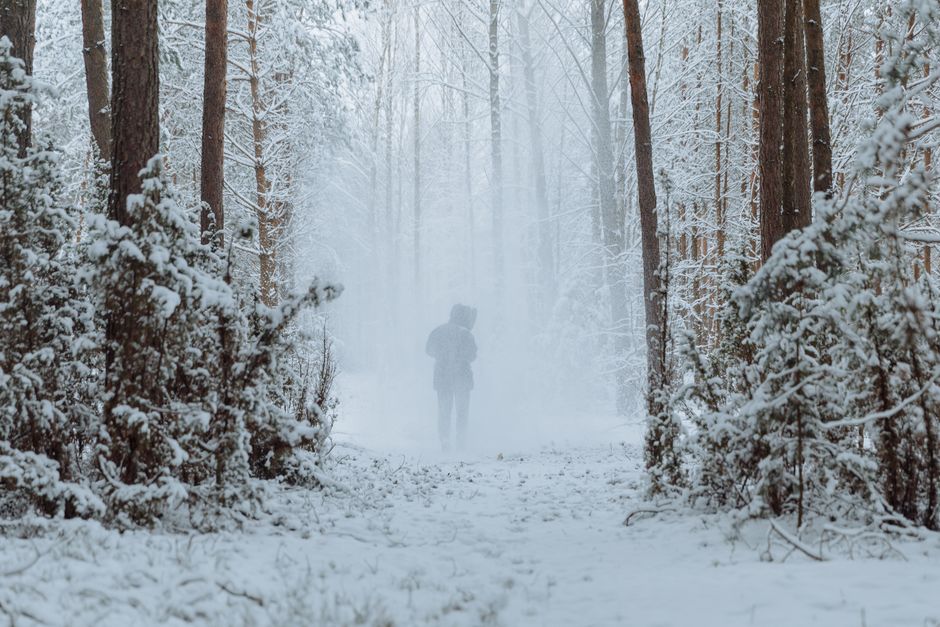 Why Cold-Weather Punishment Backfires: Managing Winter Behavior Without Breaking Trust