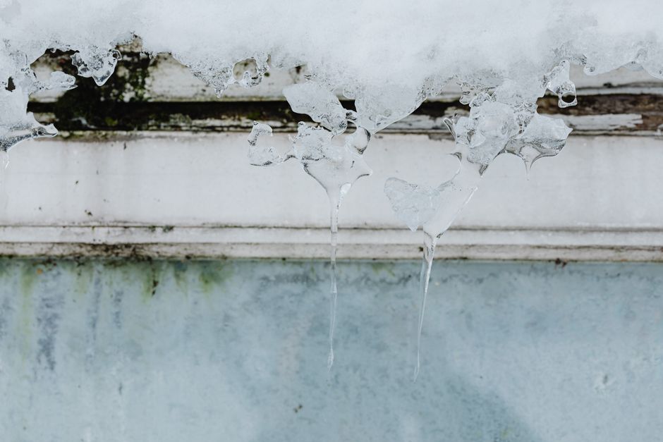 Winter Digestion Survival: How to Keep Your Gut Comfortable When the Temperature Drops