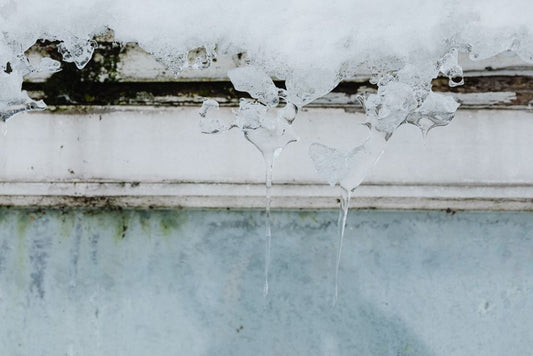 Winter Digestion Survival: How to Keep Your Gut Comfortable When the Temperature Drops